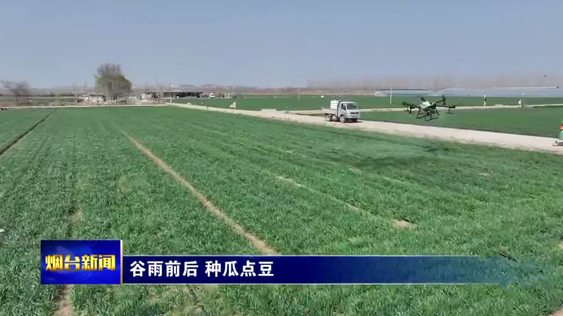 【烟台新闻】跟着谚语看谷雨