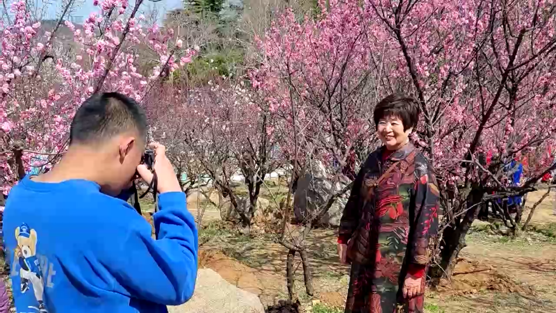 【社会广角】春天的正确打开方式：数千名游客赏梅花