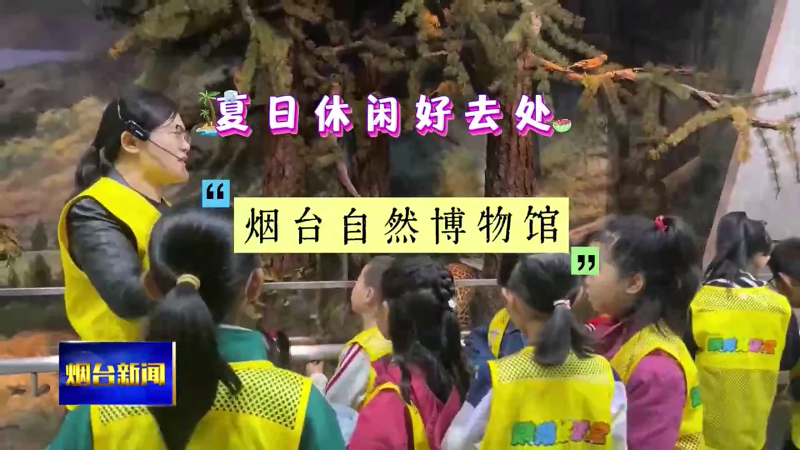 夏日休闲好去处：烟台自然博物馆