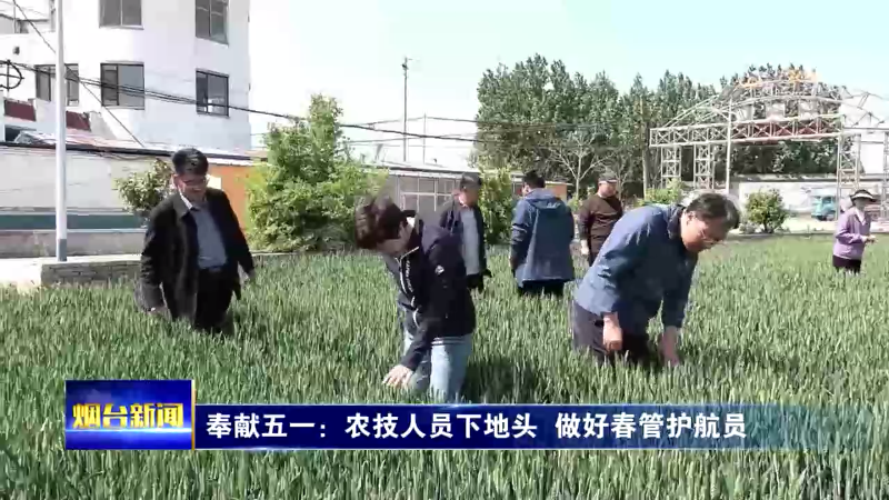 【烟台新闻】奉献五一：农技人员下地头  做好春管护航员