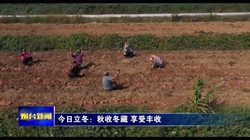 【烟台新闻】今日立冬