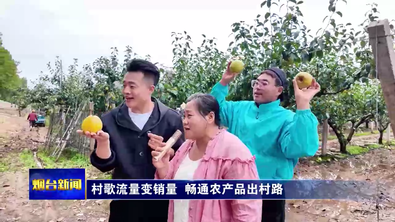 村歌流量变销量 畅通农产品出村路