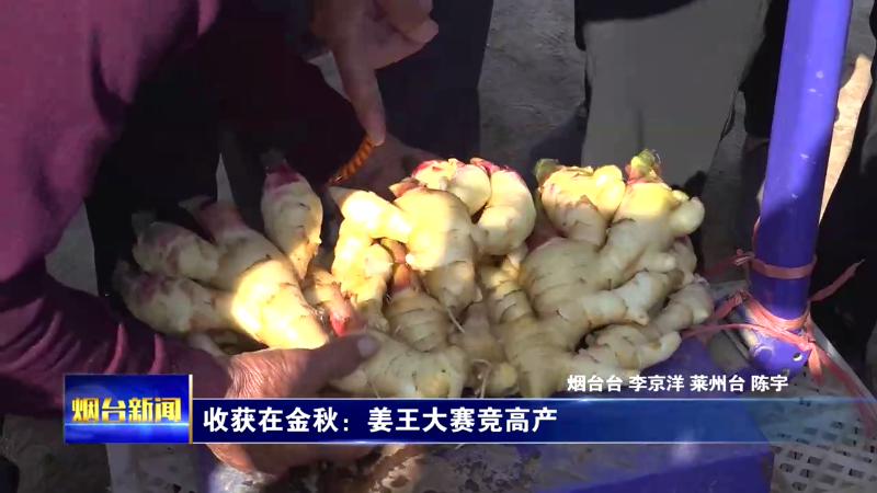 【烟台新闻】收获在金秋