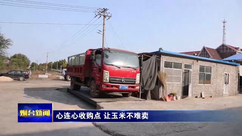 【烟台新闻】心连心收购点 让玉米不难卖