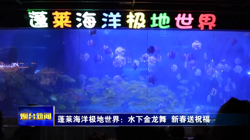 【烟台新闻】蓬莱海洋极地世界：水下金龙舞  新春送祝福