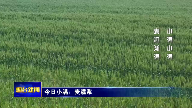 今日小满