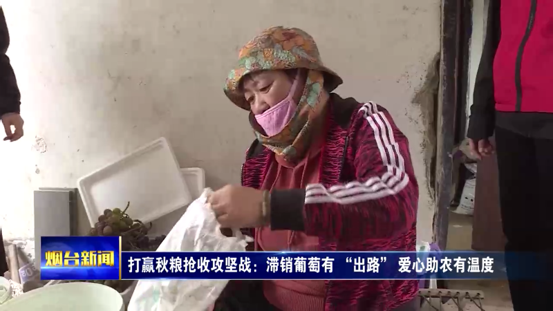 打赢秋粮抢收攻坚战：滞销葡萄有 “出路” 爱心助农有温度
