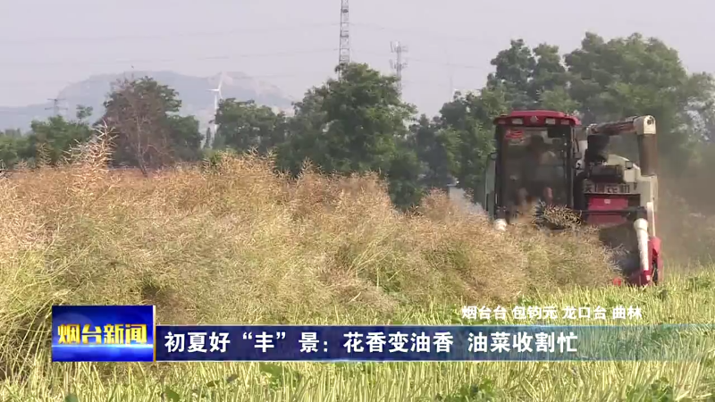 【烟台新闻】初夏好”丰”景