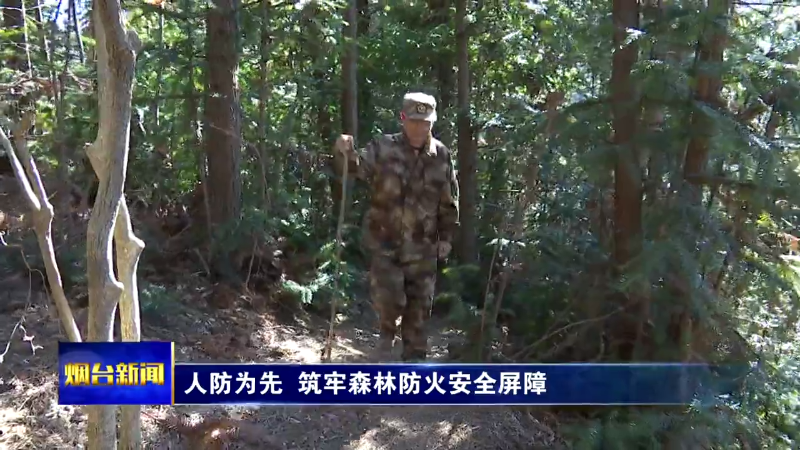 烟台：人防为先 筑牢森林防火安全屏障
