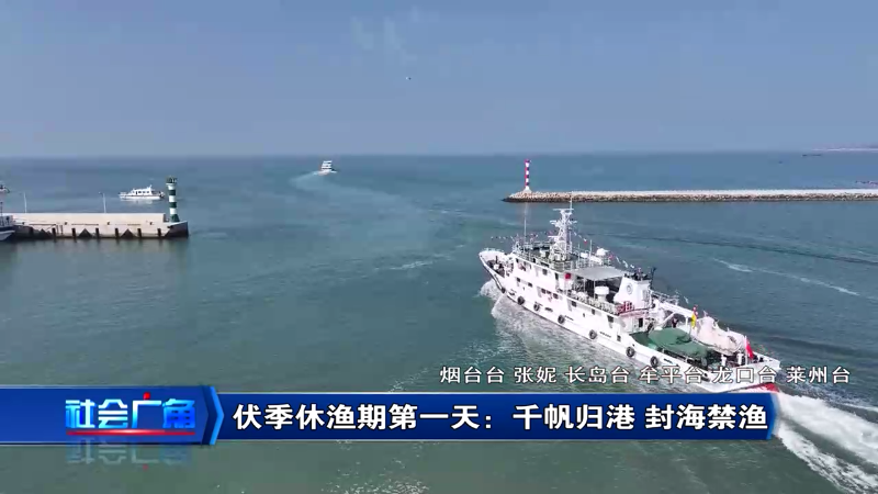 【社会广角】伏季休渔第一天：千帆归港 封海休渔