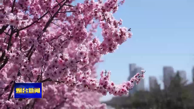 共赏烟台四月春