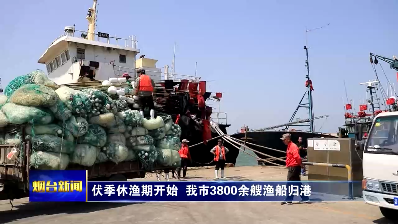 【烟台新闻】伏季休渔期开始 我市3800余艘渔船归港