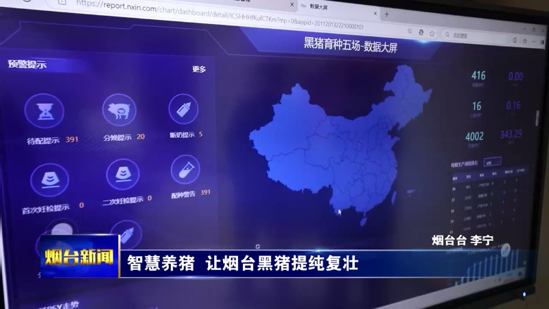 【烟台新闻】智慧养猪  让烟台黑猪提纯复壮