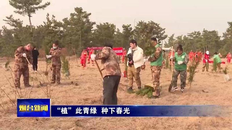 【烟台新闻】 “植”此青绿  种下春光