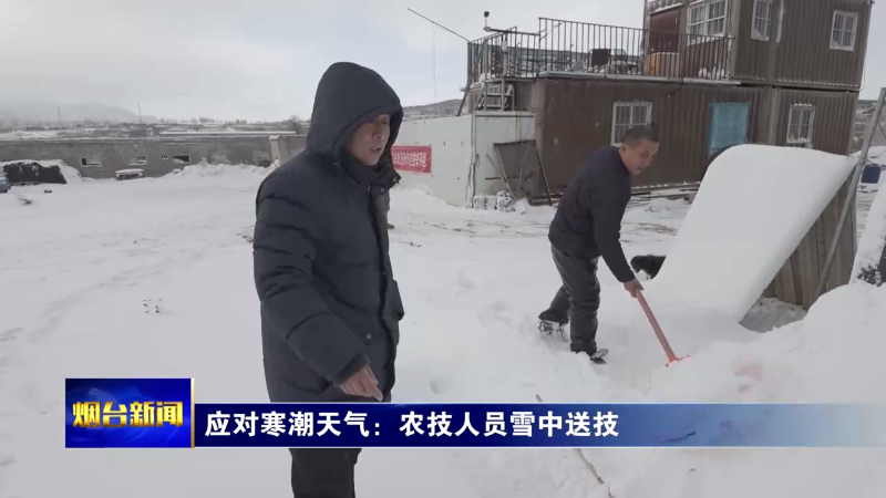 【烟台新闻】应对寒潮天气：农技人员雪中送技