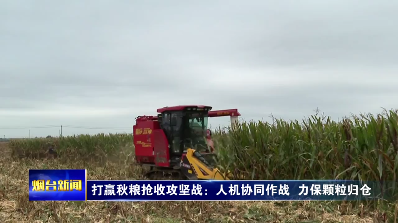 打赢秋粮抢收攻坚战：人机协同作战 力保颗粒归仓