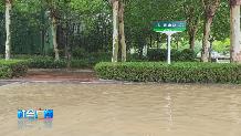 【社会广角】持续降雨来了 环卫坚守战积水