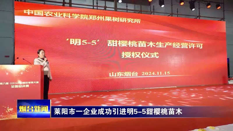 【烟台新闻】莱阳市一企业成功引进明5-5甜樱桃苗木