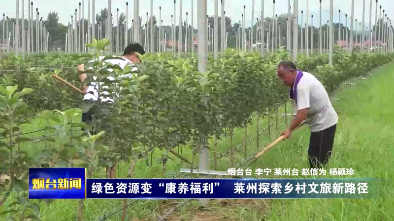 【烟台新闻】绿色资源变“康养福利”  莱州探索乡村文旅新路径