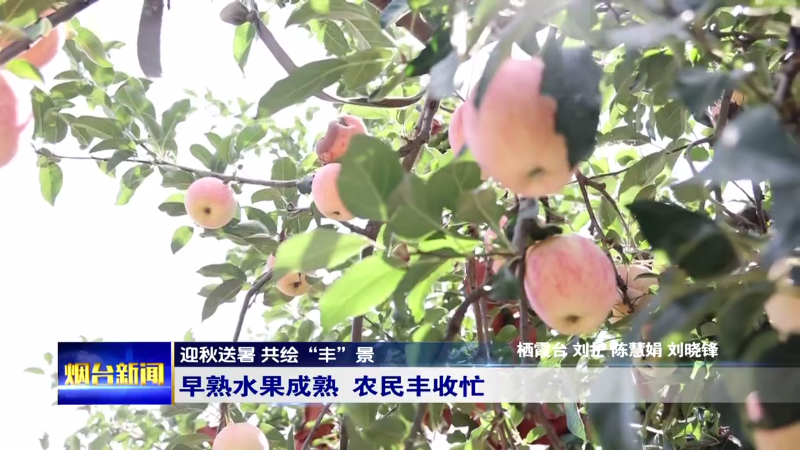 【烟台新闻】迎秋送暑 共绘“丰”景