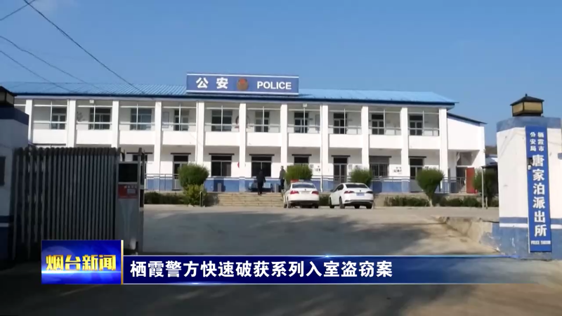 栖霞警方快速破获系列入室盗窃案