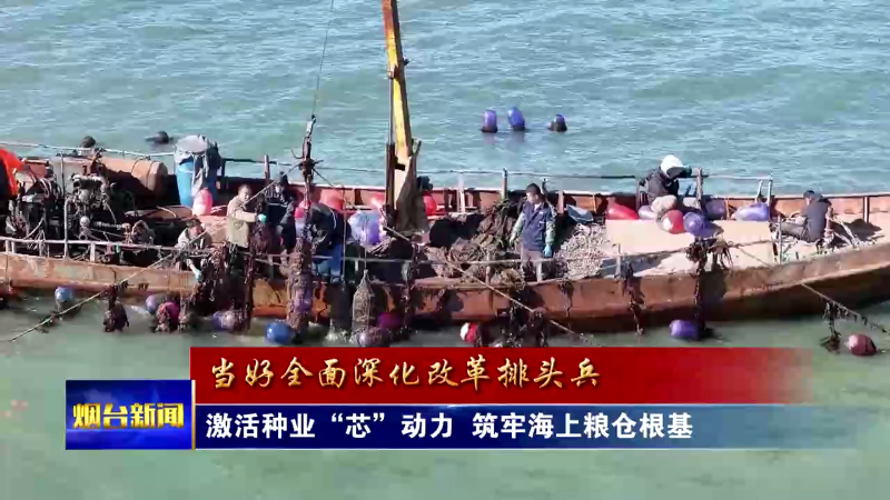 激活种业“芯”动力，筑牢海上粮仓根基