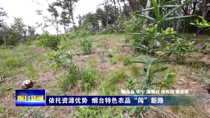 依托资源优势，烟台特色农品“闯”新路