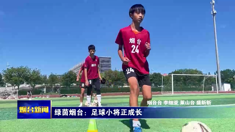 绿茵烟台：足球小将正成长