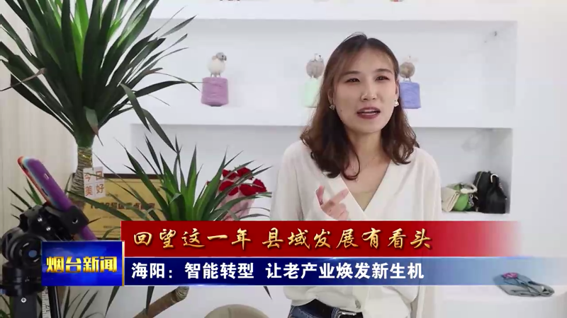 海阳：智能转型 让老产业焕发新生机
