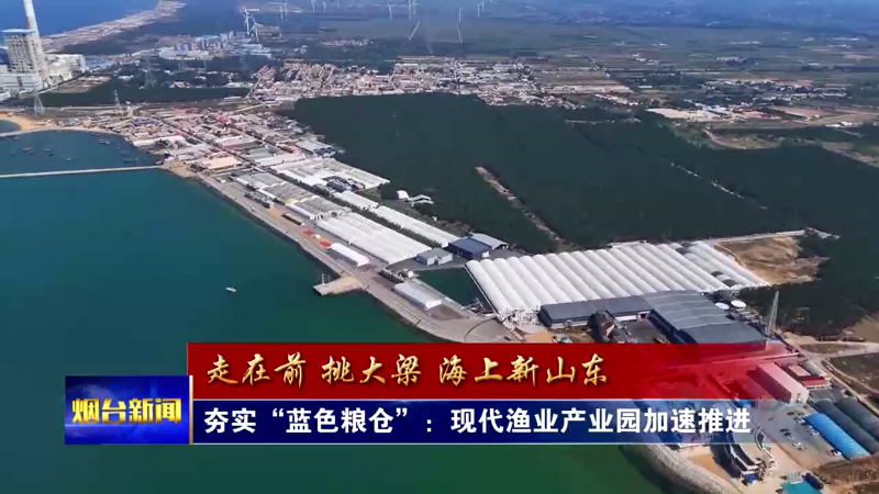 海上新山东|推进涉海园区建设 夯实蓝色粮仓