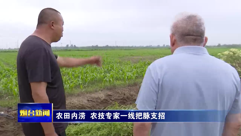 【烟台新闻】农田内涝 农技专家一线把脉支招