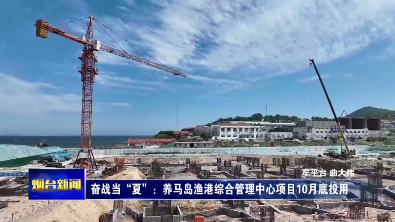 奋战当“夏”：养马岛渔港综合管理中心项目10月底投用