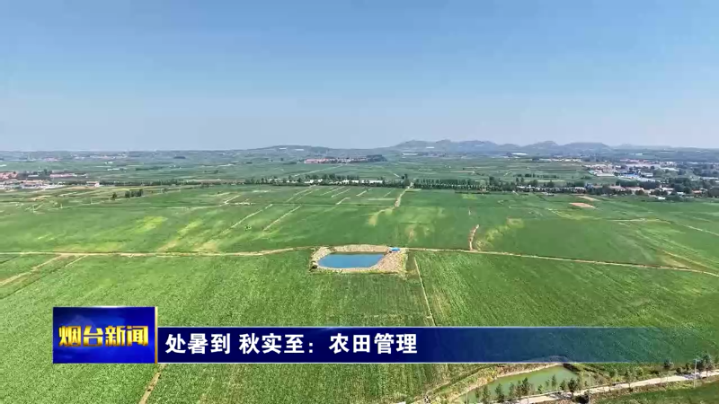 处暑到 秋实至