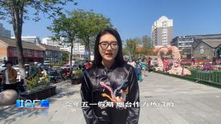 【社会广角】五一去哪儿玩 市区旅游攻略来了