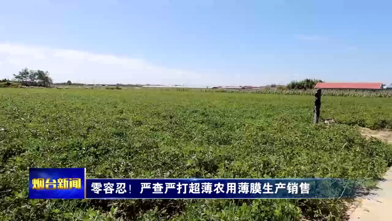 【烟台新闻】零容忍！严查严打超薄农用薄膜生产销售