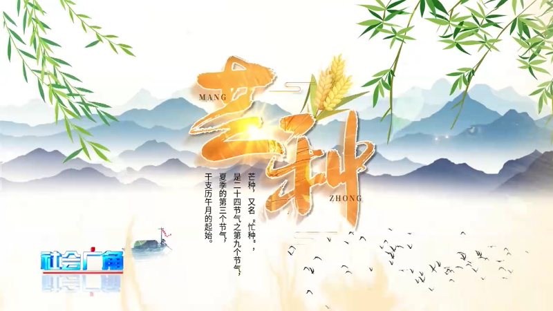 今日芒种：芒有所得 种有所获