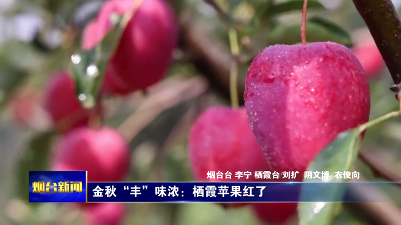 金秋“丰”味浓