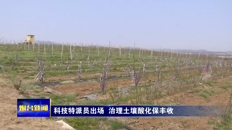 【烟台新闻】科技特派员出场 治理土壤酸化保丰收
