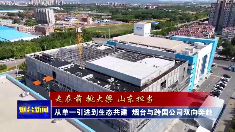 从单一引进到生态共建，烟台与跨国公司双向奔赴