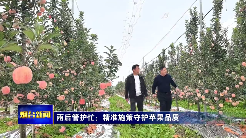 【烟台新闻】雨后管护忙