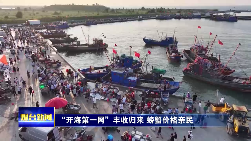 烟台“开海第一网”丰收归来，螃蟹价格亲民