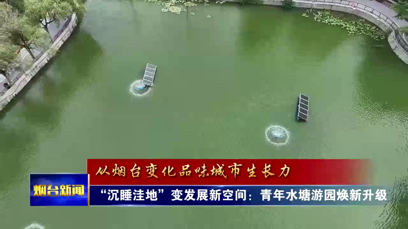 从烟台变化品城市生长力|青年水塘游园焕新升级
