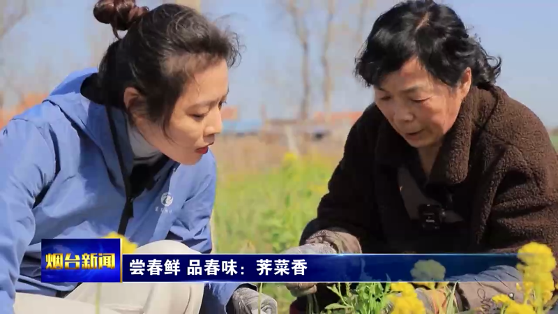 尝春鲜 品春味：荠菜香