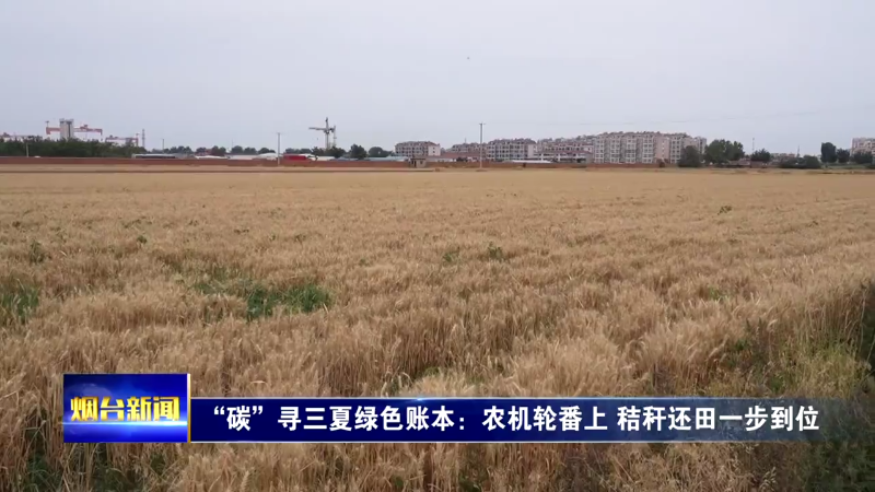 “碳”寻三夏绿色账本