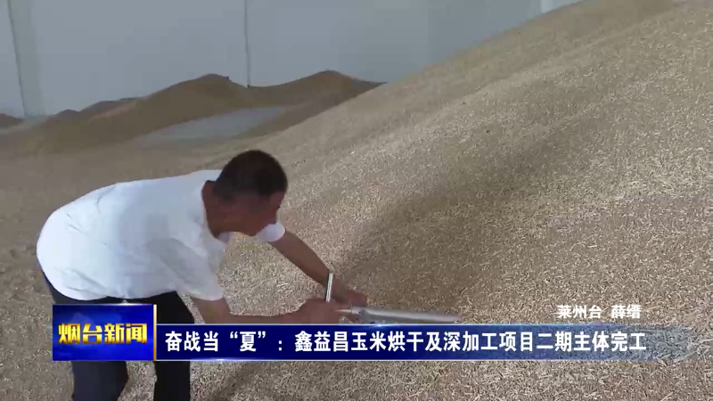 奋战当“夏”：鑫益昌玉米烘干及深加工项目二期主体完工