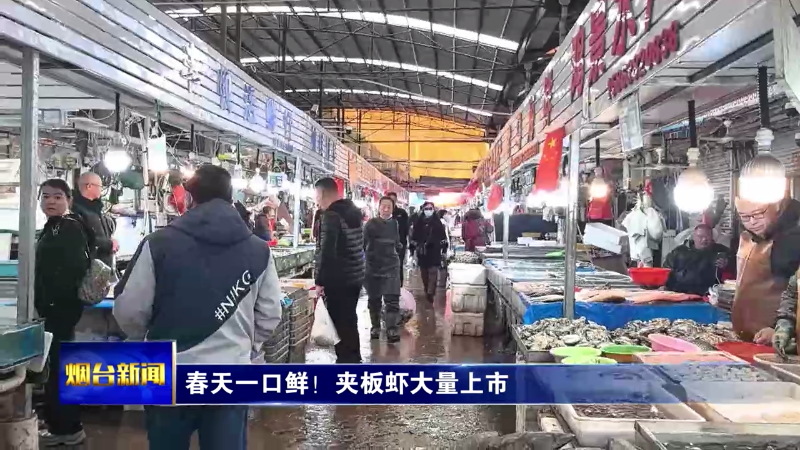 【烟台新闻】尝春鲜 品春味：夹板虾