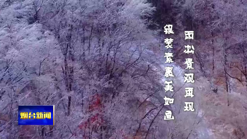 【烟台新闻】雨凇景观再现 银装素裹美如画