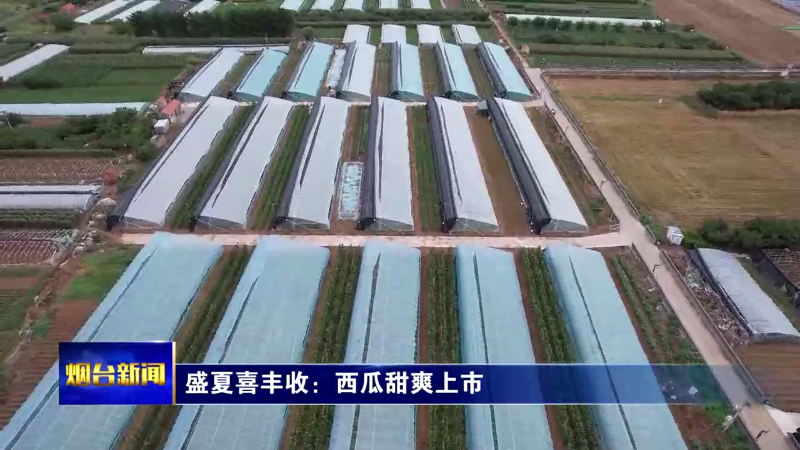 盛夏喜丰收：西瓜甜爽上市