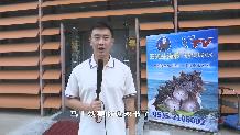 【社会广角】海参秋季促销活动正在火热进行中