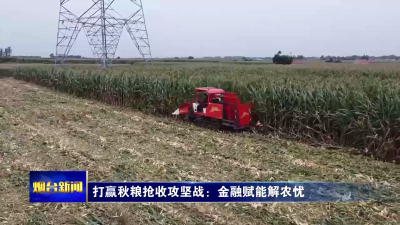 【烟台新闻】打赢秋粮抢收攻坚战：金融赋能解农忧
